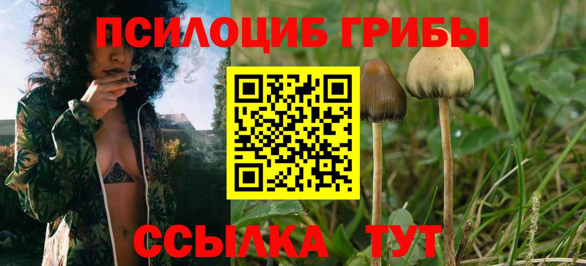 Псилоцибиновые грибы MAGIC MUSHROOMS Кстово