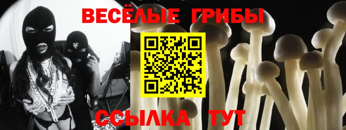 Кстово  Псилоцибиновые грибы ЛСД  Галлюциногенные грибы GOLDEN TEACHER  закладки  Вход с VPN 
